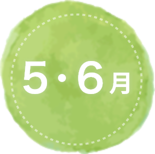 5・6月