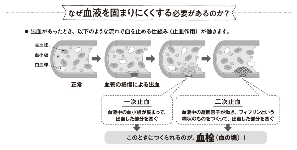 高齢者の薬＆生活への影響