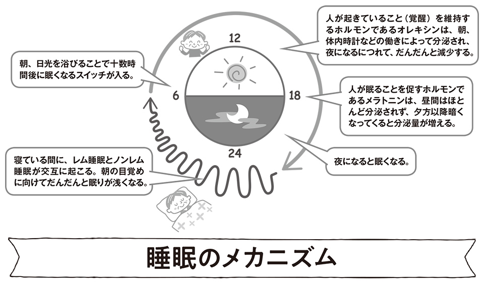 高齢者の「薬」＆生活への影響【睡眠薬】