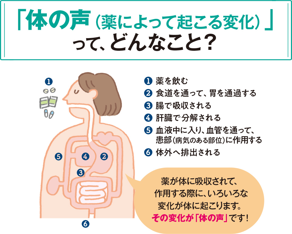 あらためて考えてみよう！　「薬」とのつき合い方①